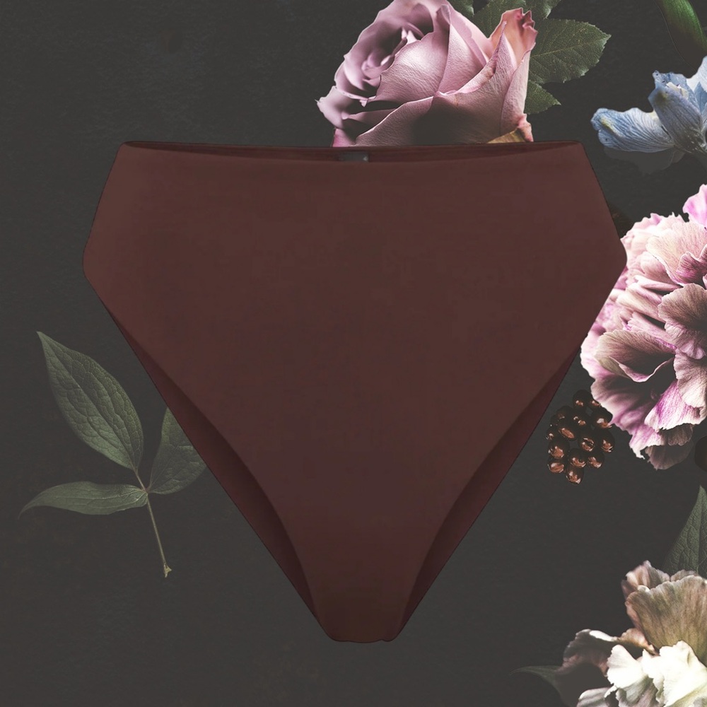 SKIMS Brown Bikini Bottom